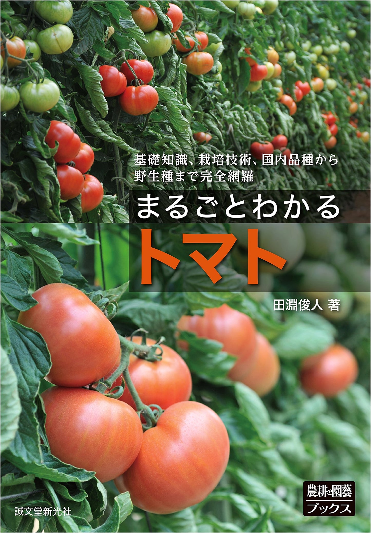 Comprehensive Guide to Tomatoes: Cultivation, Varieties & History (Noko to Engei Books)
