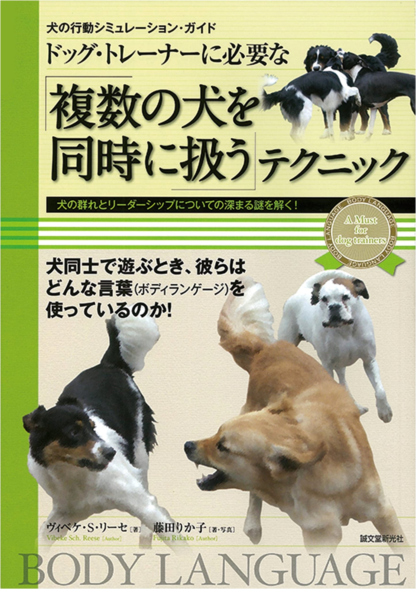 Dog Trainer's Guide: Handling Multiple Dogs Simultaneously & Leadership Mysteries