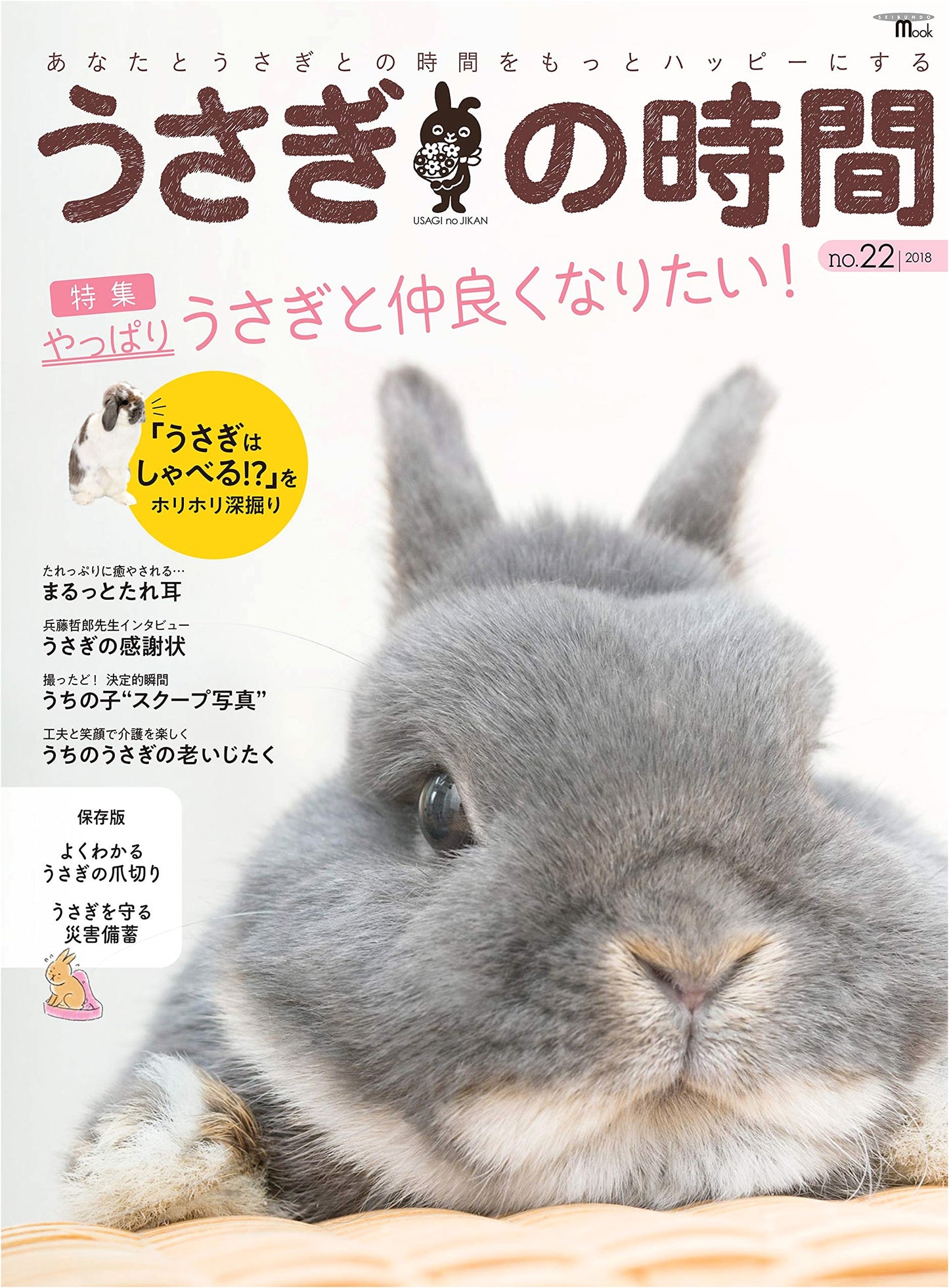 Rabbit's Time No. 22: Make Your Time with Your Rabbit Even Happier (SEIBUNDO Mook)