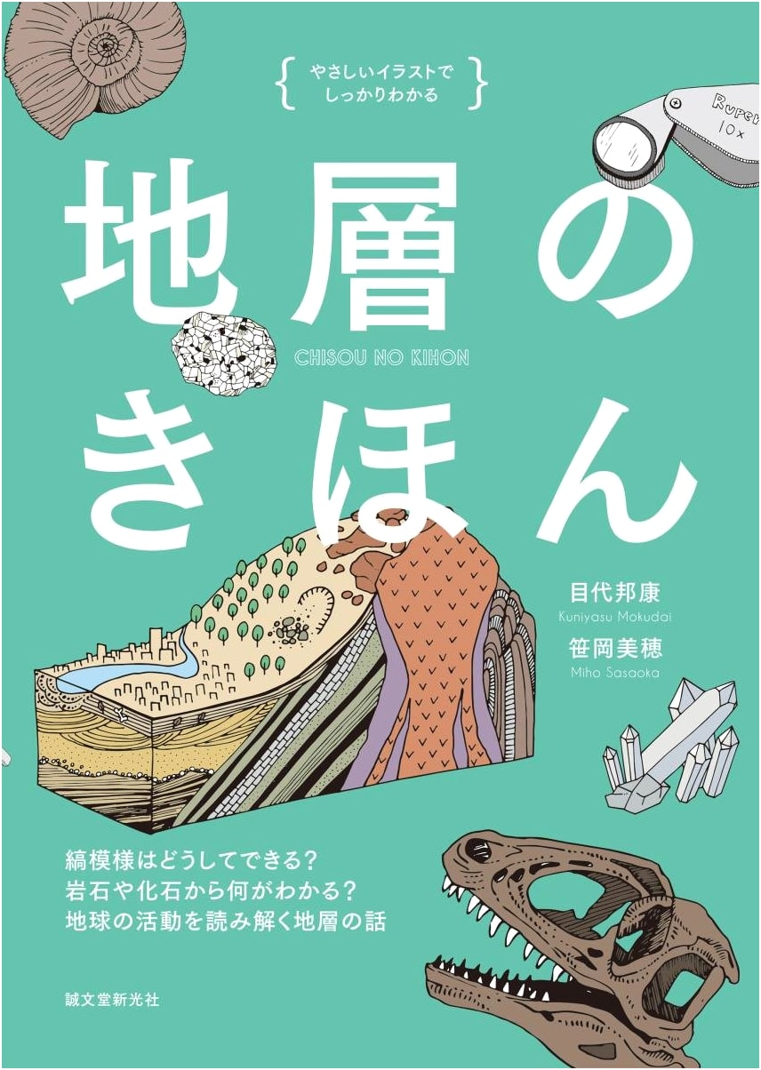 Fundamentals of Strata: How Stripes Form? What Rocks & Fossils Reveal? (Illustrated)