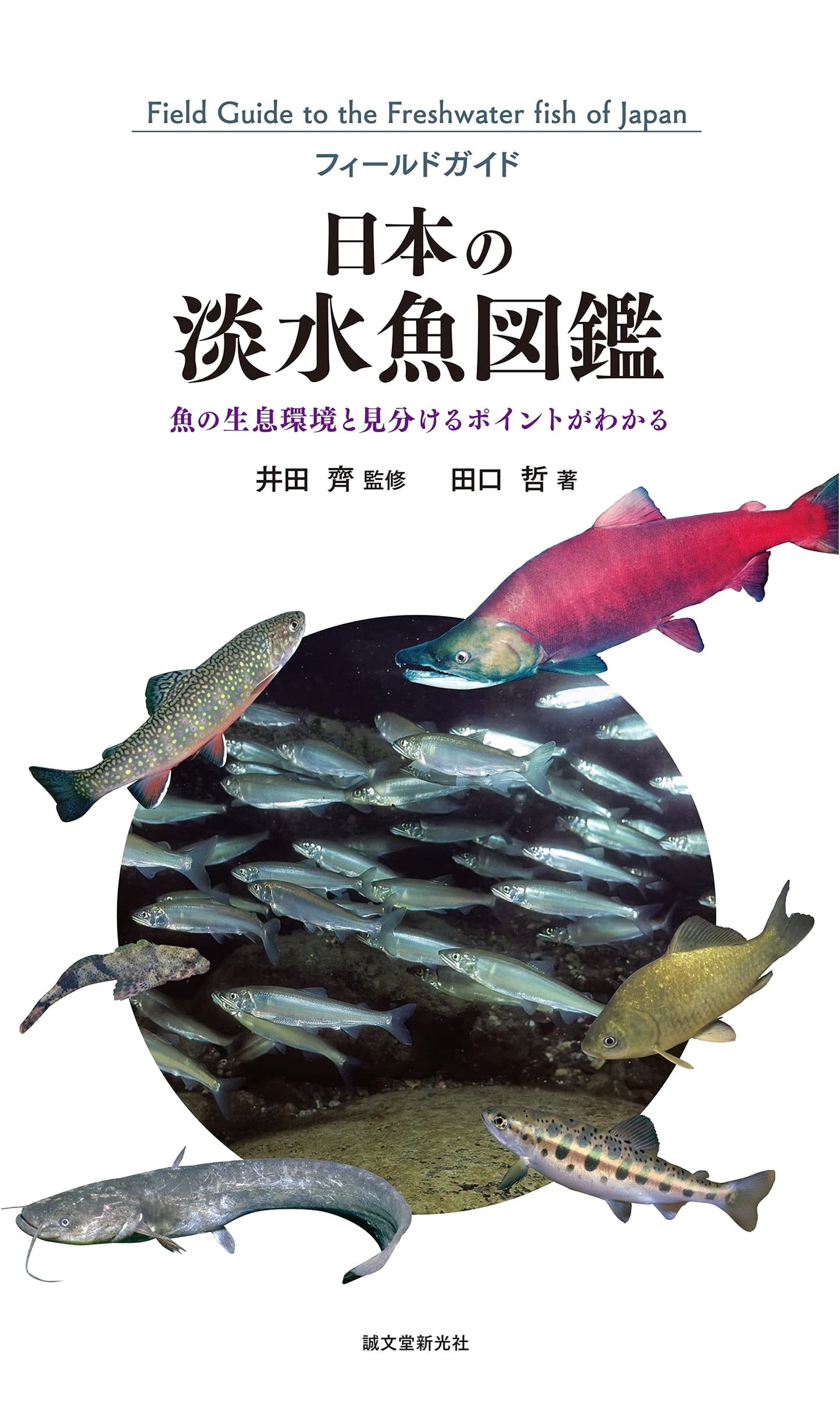 Illustrated Guide to Japanese Freshwater Fish: Habitats & Identification Tips