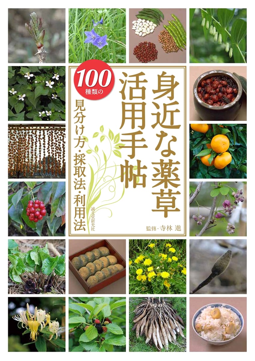 Everyday Medicinal Herb Handbook: Identification, Foraging & Uses for 100 Varieties