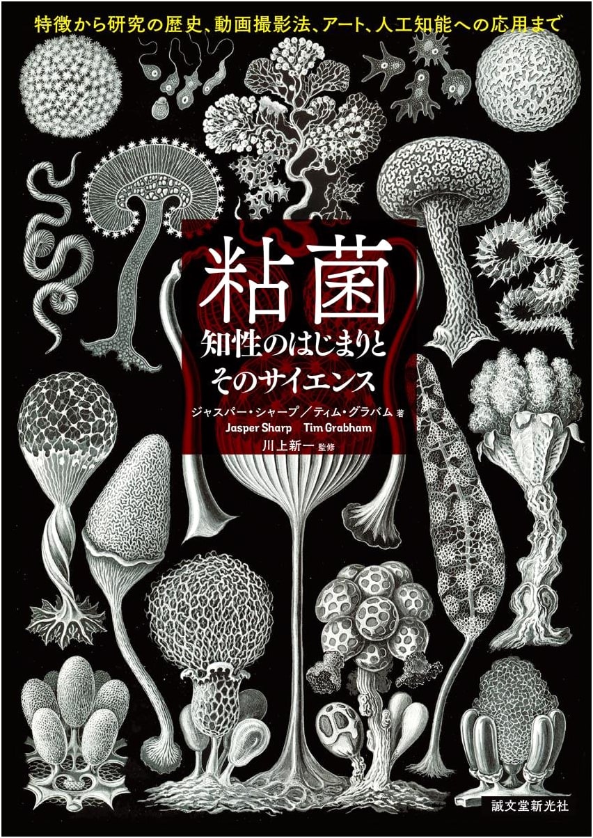 Slime Mold: The Science of Primitive Intelligence – From Biology to AI & Art