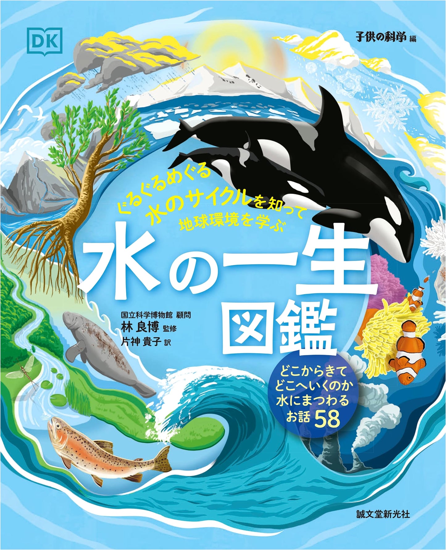 Illustrated Guide to the Life Cycle of Water: Learning About Earth's Environment
