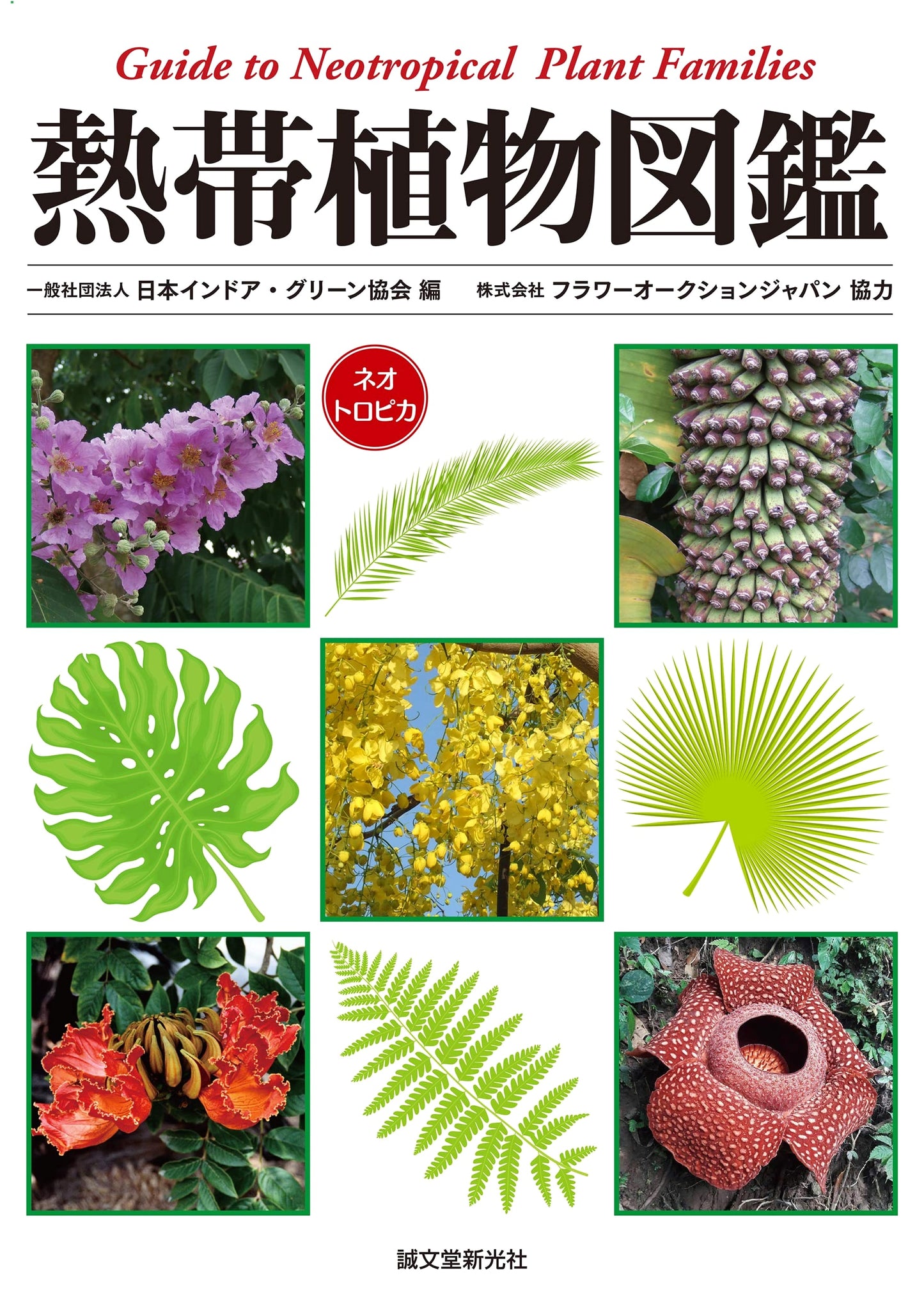 Tropical Plant Encyclopedia: Guide to Neotropical Plant Families