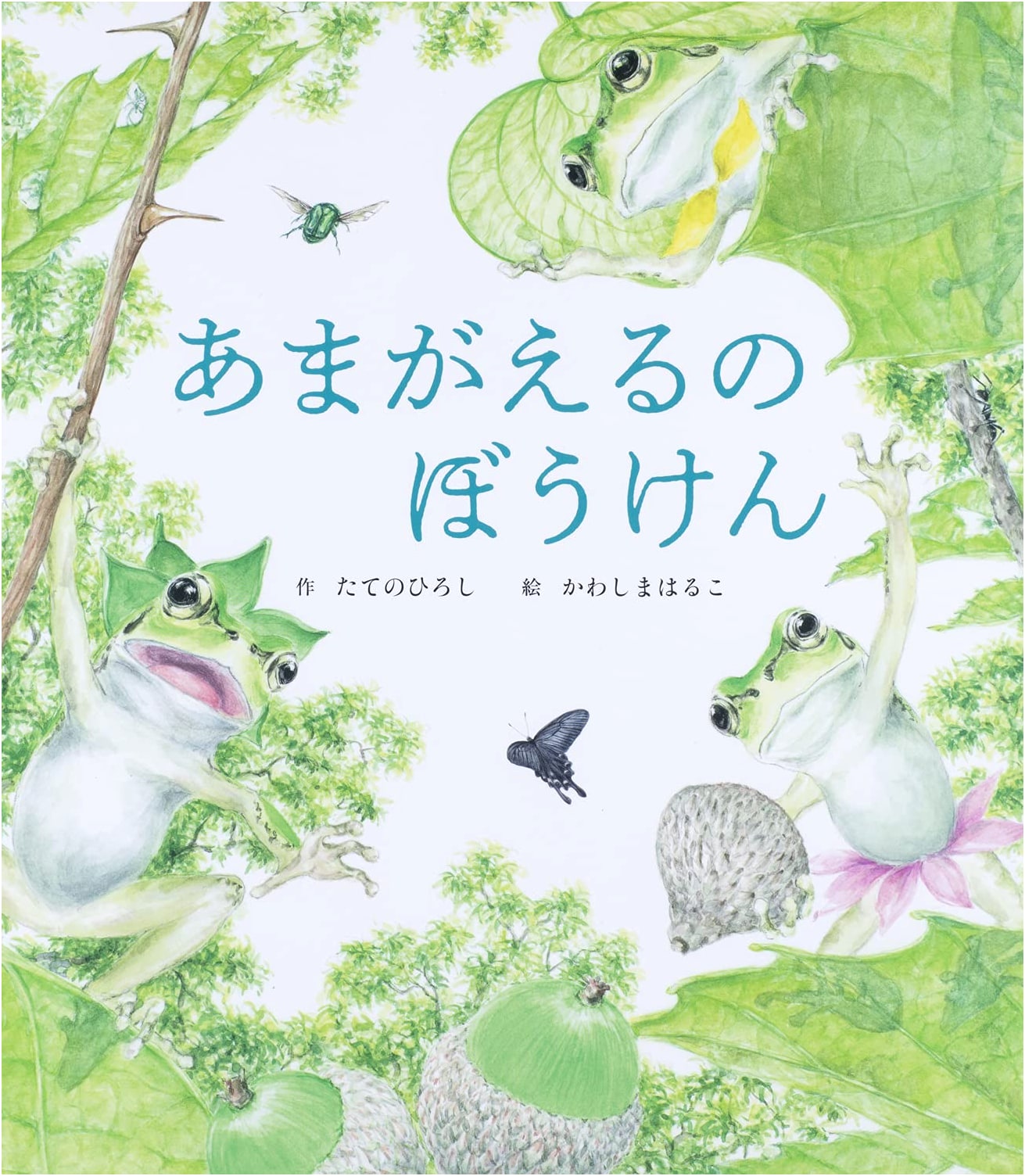 The Adventures of a Tree Frog by Hiroshi Tateno