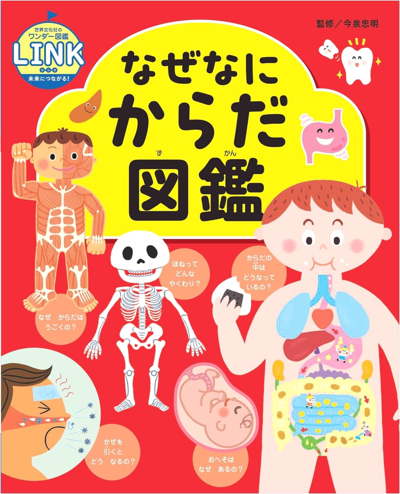 Why & What About Your Body: An Illustrated Guide (Sekai Bunka's Wonder Picture Book LINK Series)