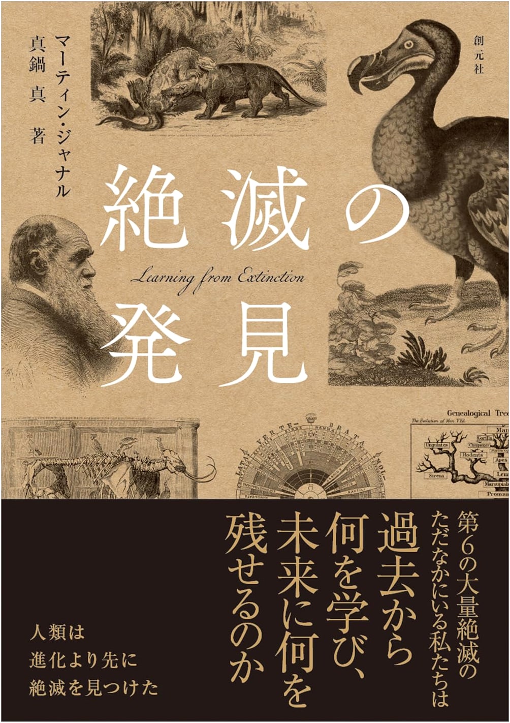 The Discovery of Extinction