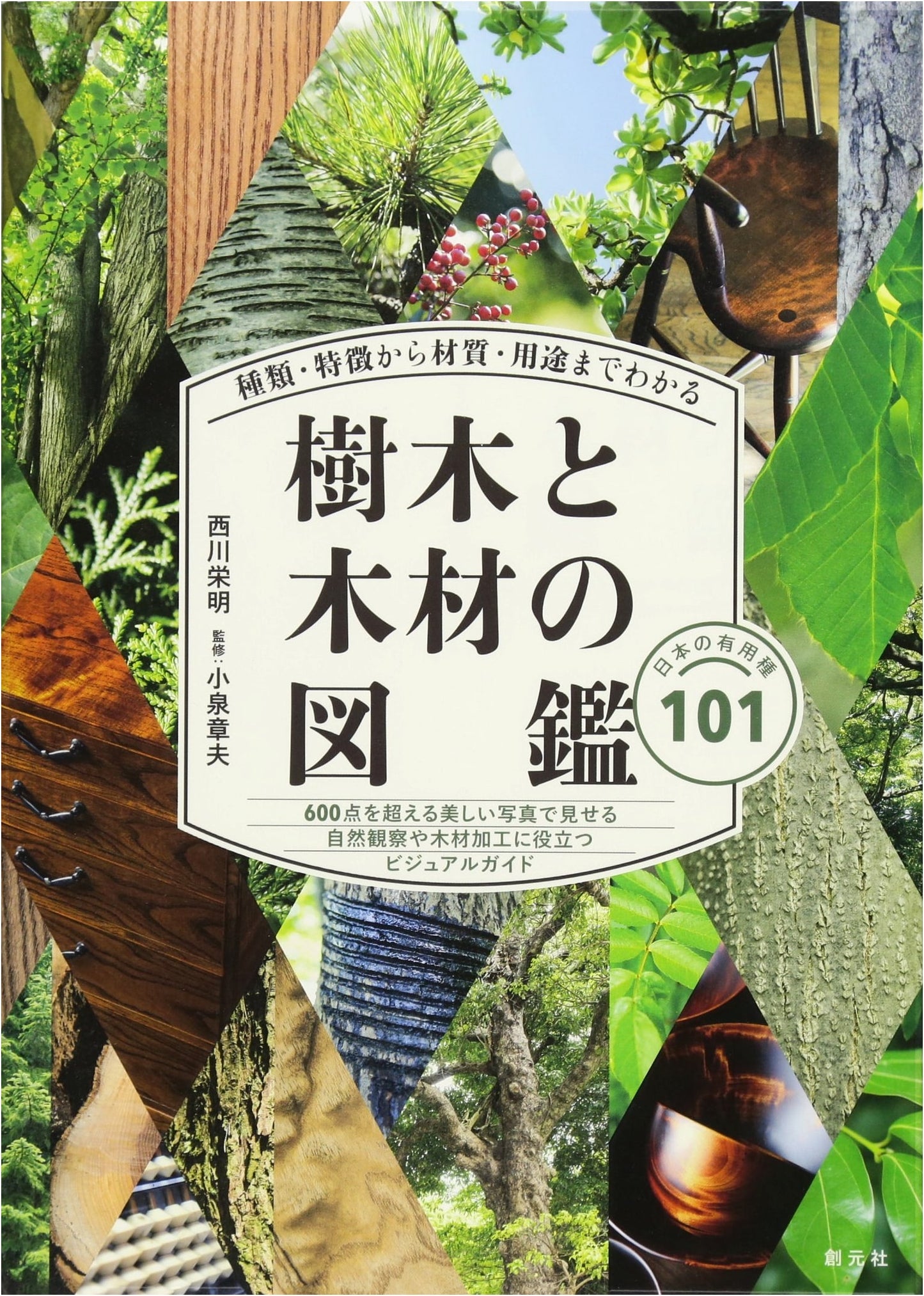 Illustrated Guide to Trees and Timber: Types, Characteristics, Materials & Uses