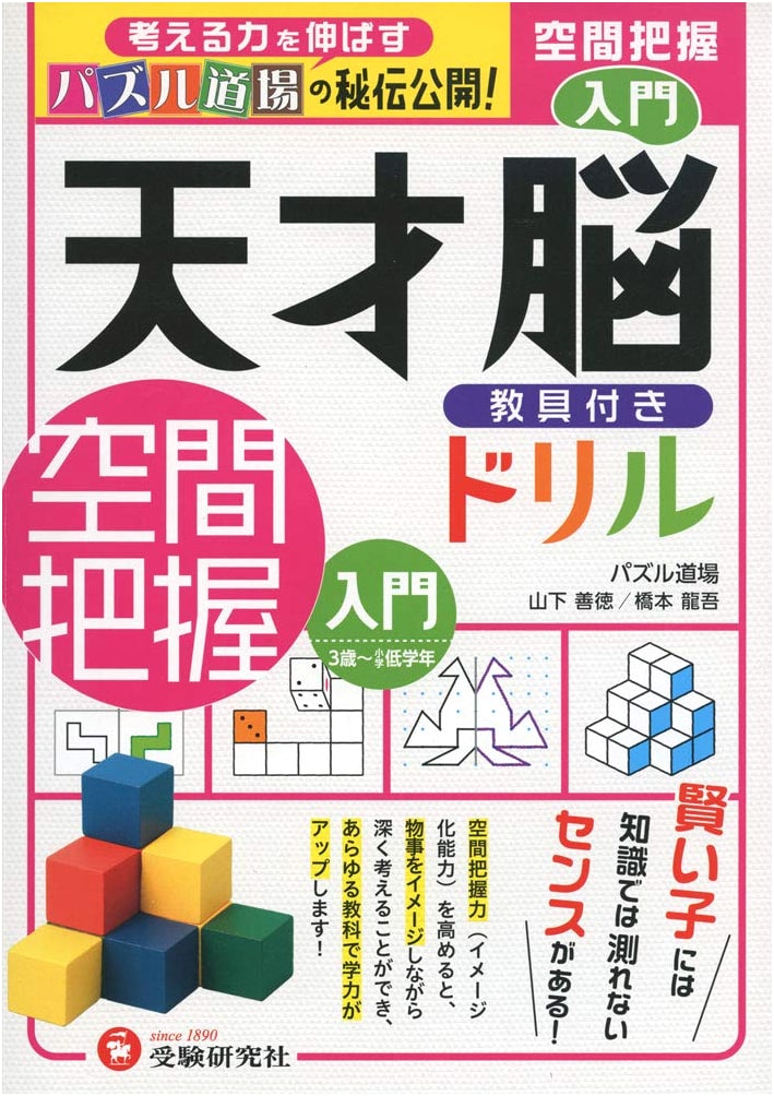 Genius Brain Drill: Spatial Reasoning Introduction - Thinking Skills (Ages 3-Elementary)