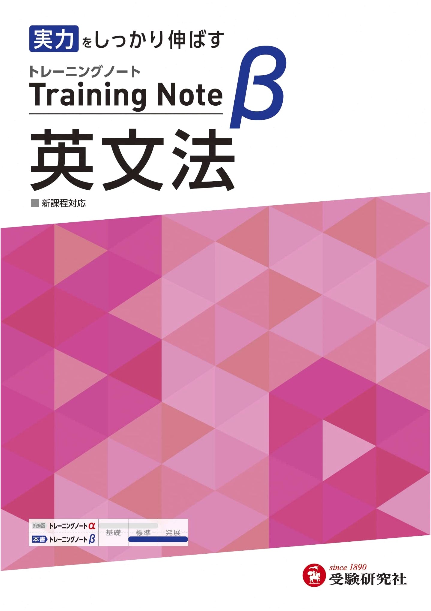 High School Training Notebook Beta: English Grammar Workbook for Skill Improvement
