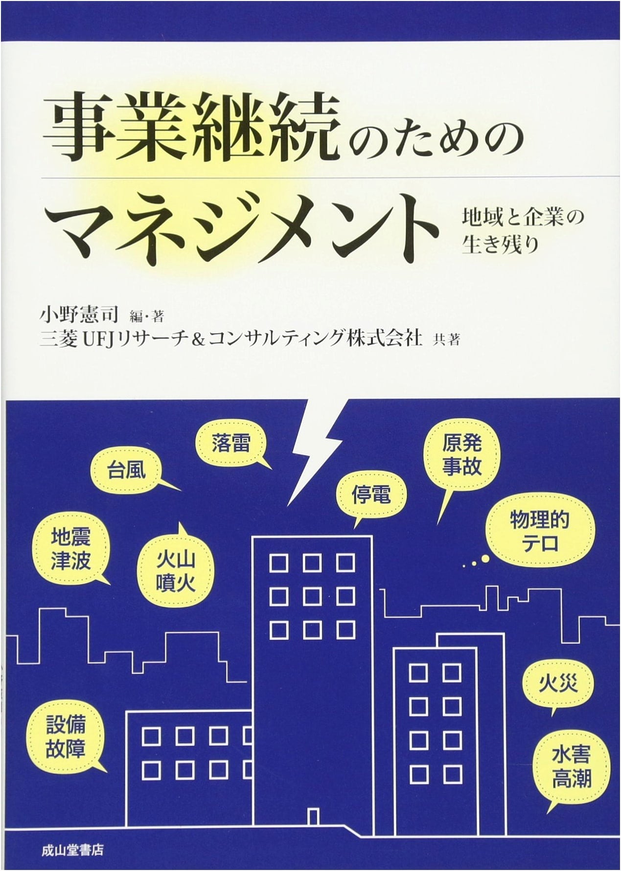 Business Continuity Management: Strategies for Regional and Corporate Survival