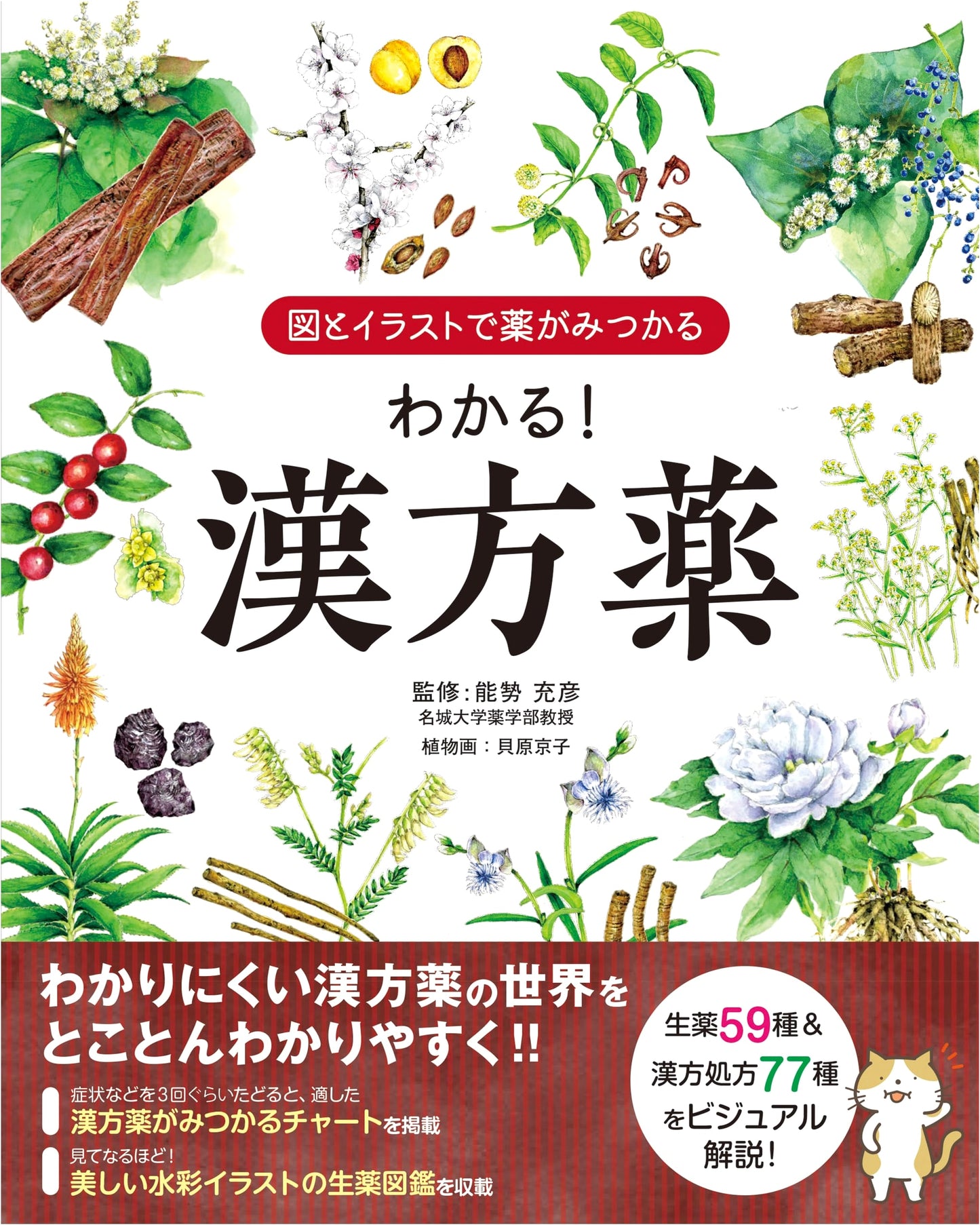 Find & Understand Kampo Medicine: A Visual Guide with Diagrams and Illustrations