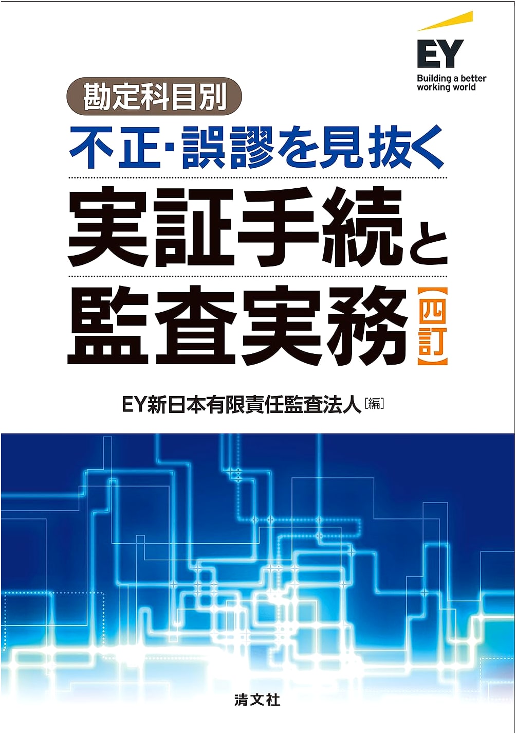 Fourth Edition: Detecting Fraud & Errors by Account: Practical Audit Procedures & Practices