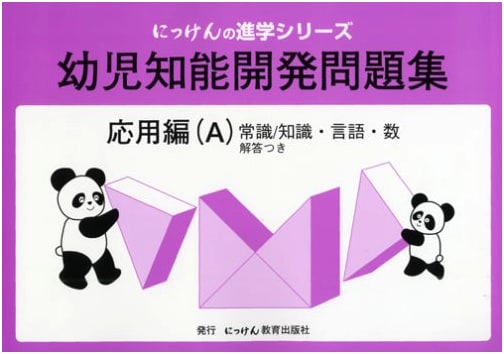 Early Childhood Cognitive Development Workbook: Applied Edition A (Nikken Series)