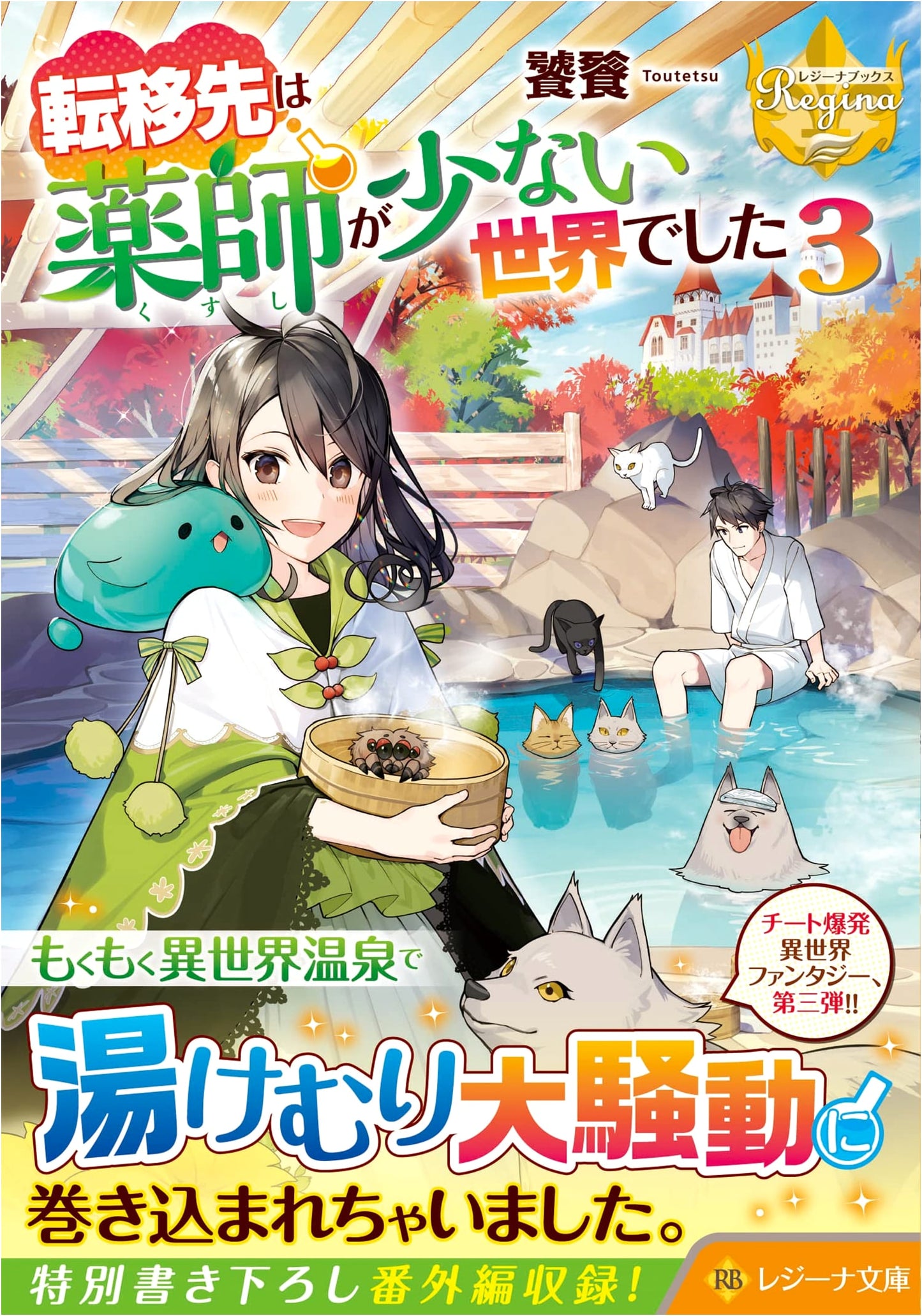My New World is a Shortage of Healers (Vol. 3) (Regina Books)