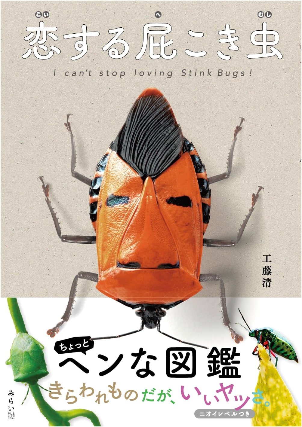 Love Bugs: A Visual Guide Series