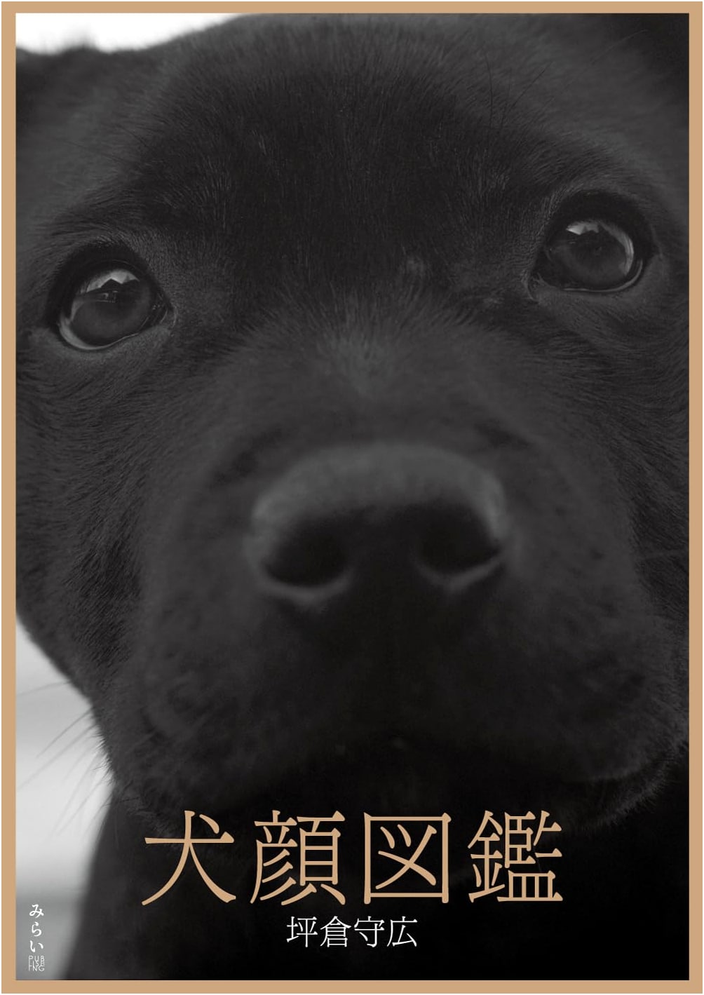 Dog-Faced Photo Album by Morihiro Tsubokura