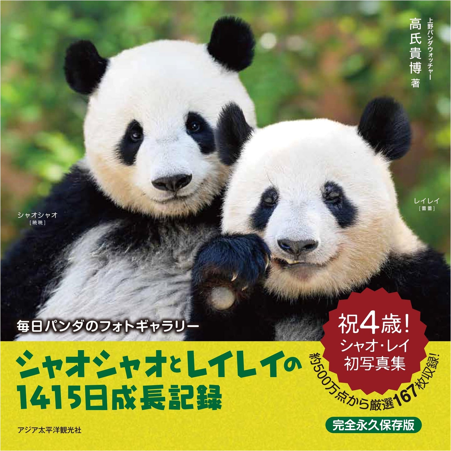 Shaoxiao & Leilei's 1415-Day Growth Record: A Daily Panda Photo Gallery