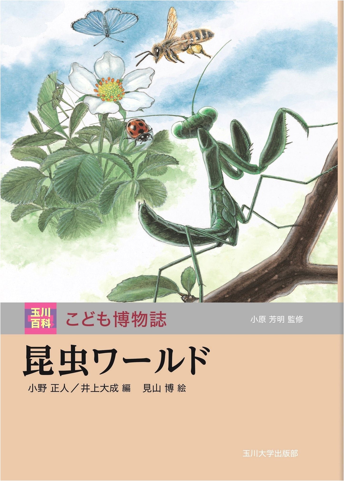 Insect World (Tamagawa Encyclopedia for Children's Natural History)