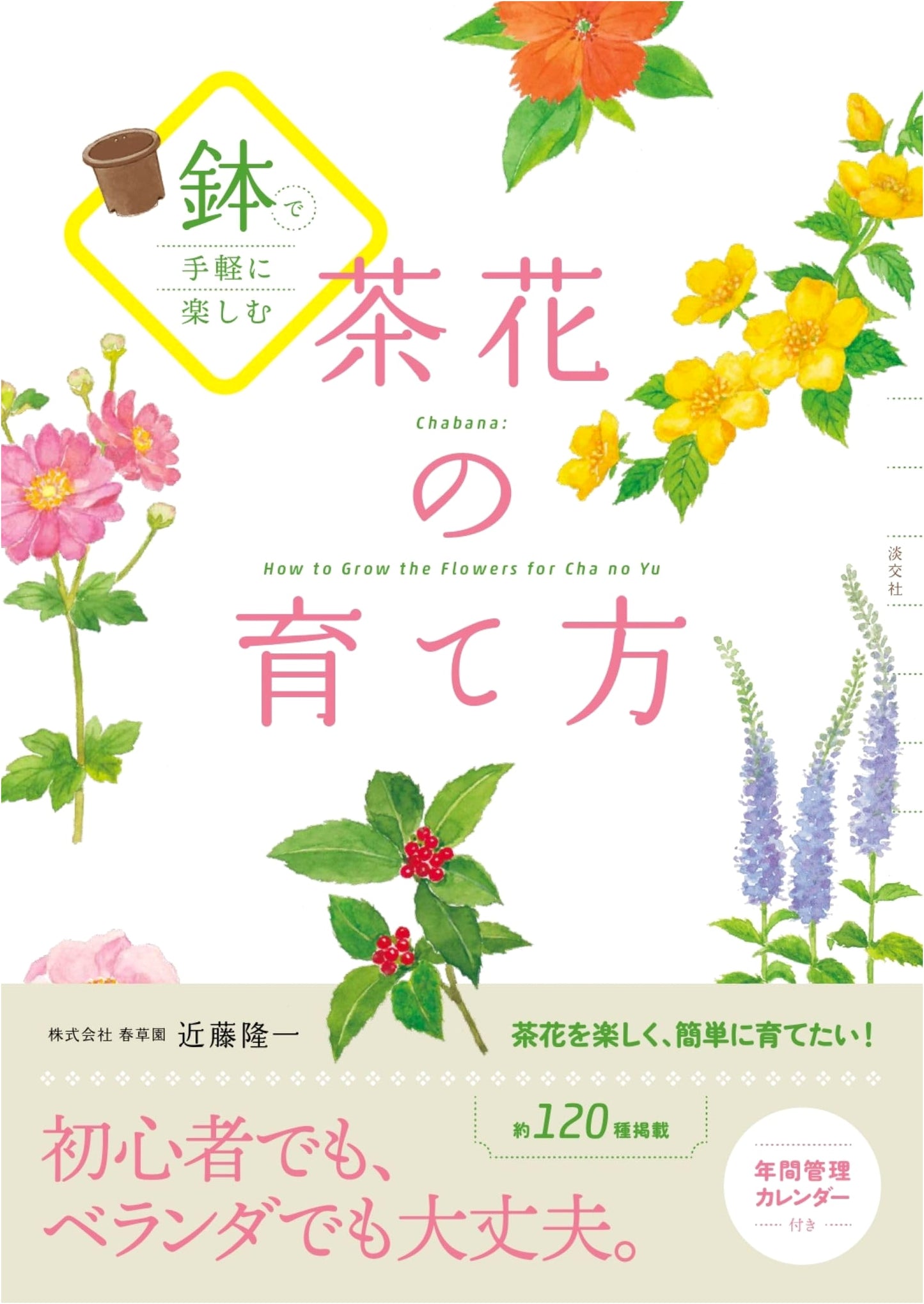 Growing Tea Flowers in Pots: A Practical Guide by Ryuichi Kondo