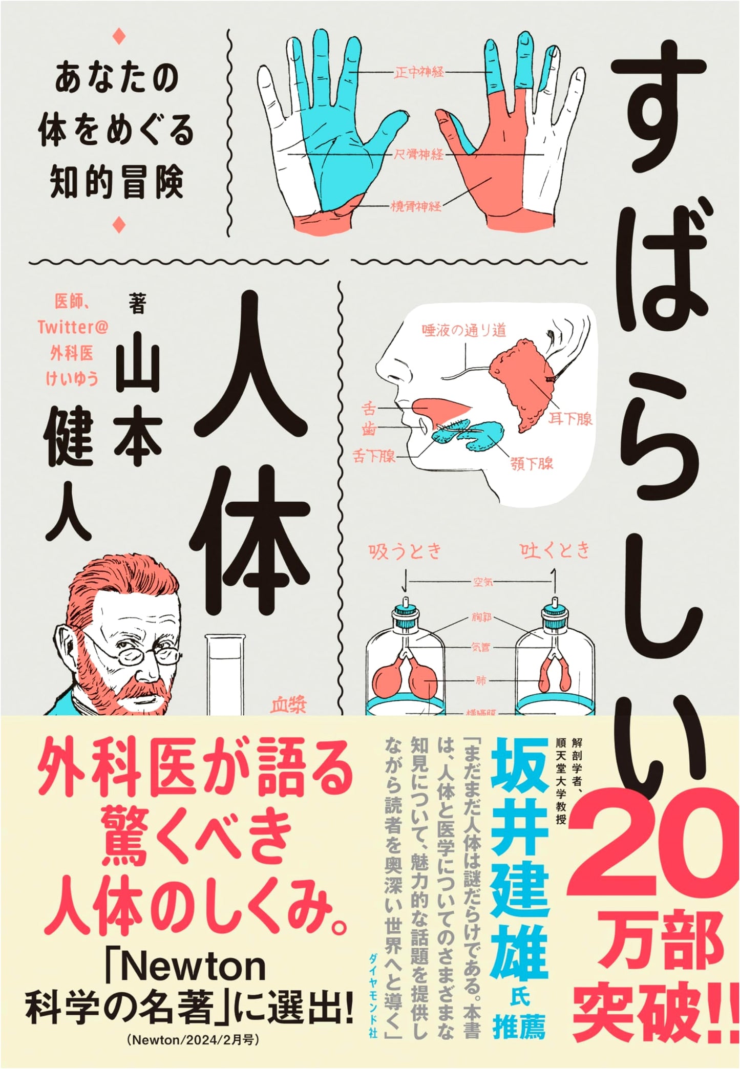 The Wonderful Human Body: An Intellectual Adventure Around Your Body by Kento Yamamoto