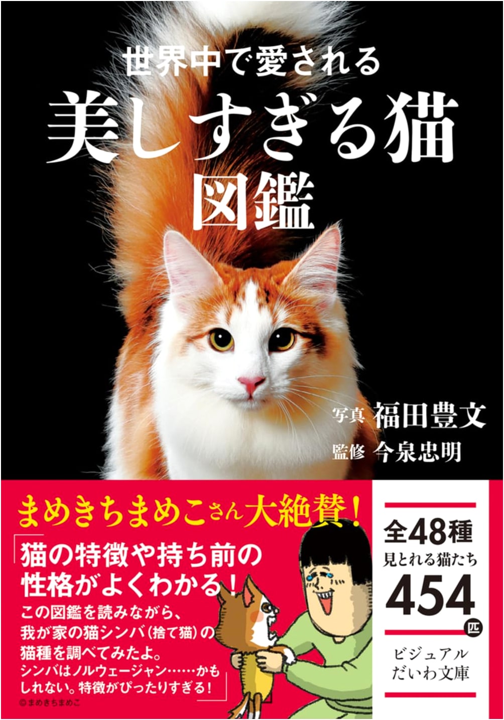 The World's Most Beautiful Cats: An Illustrated Guide
