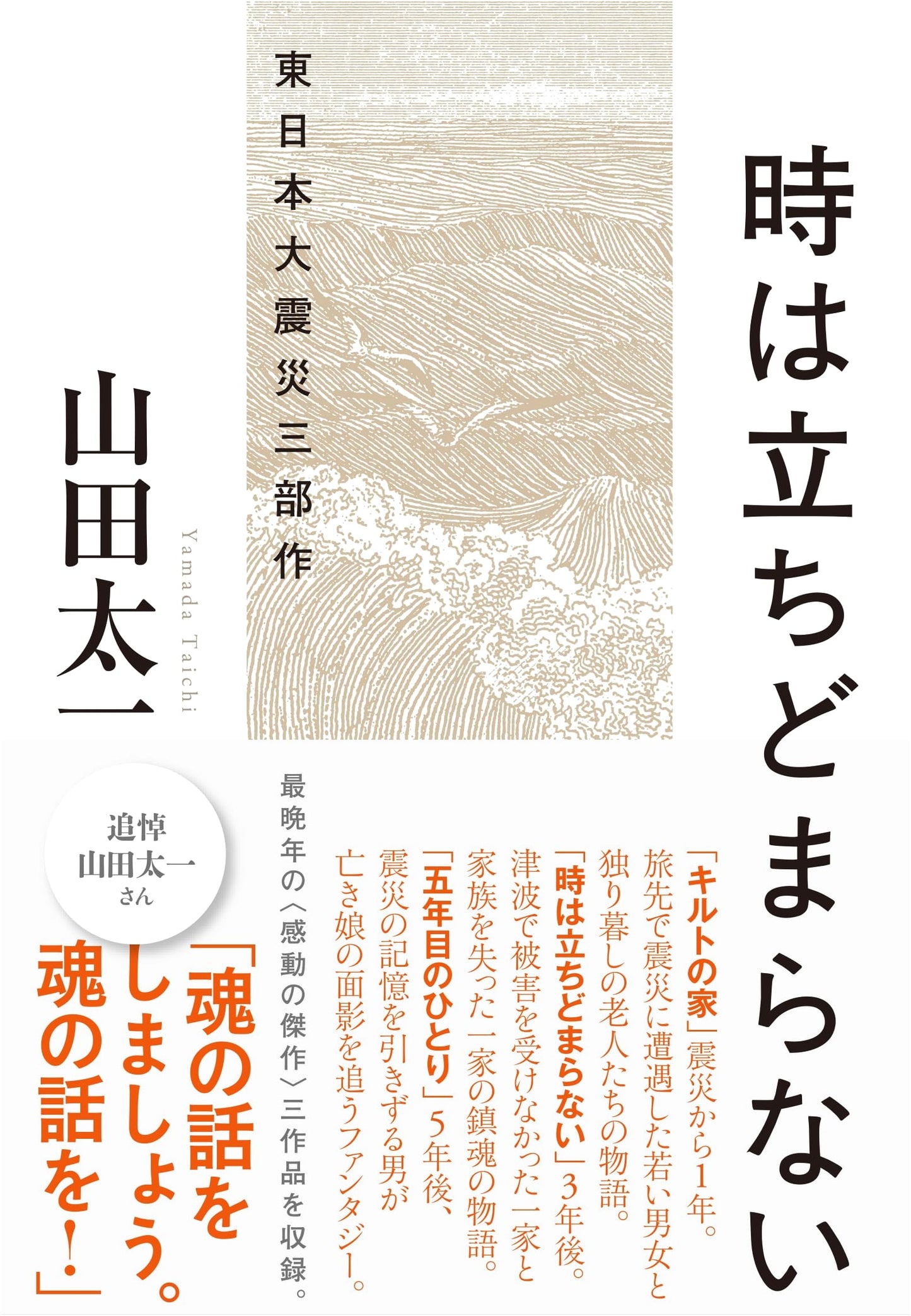 Time Never Stops: The Great East Japan Earthquake Trilogy
