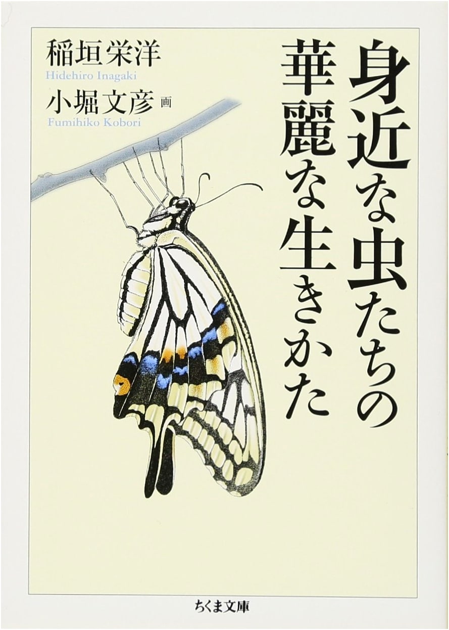 The Brilliant Lives of Familiar Insects