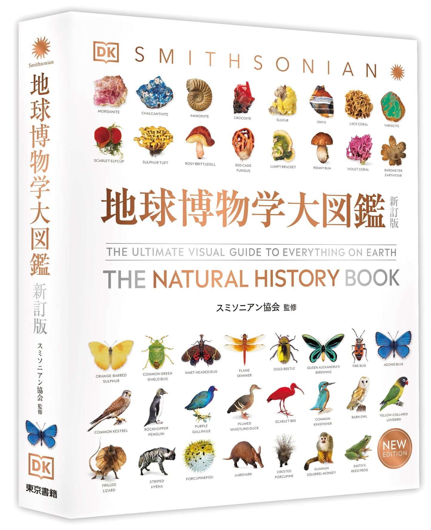 Encyclopedia of Earth Sciences