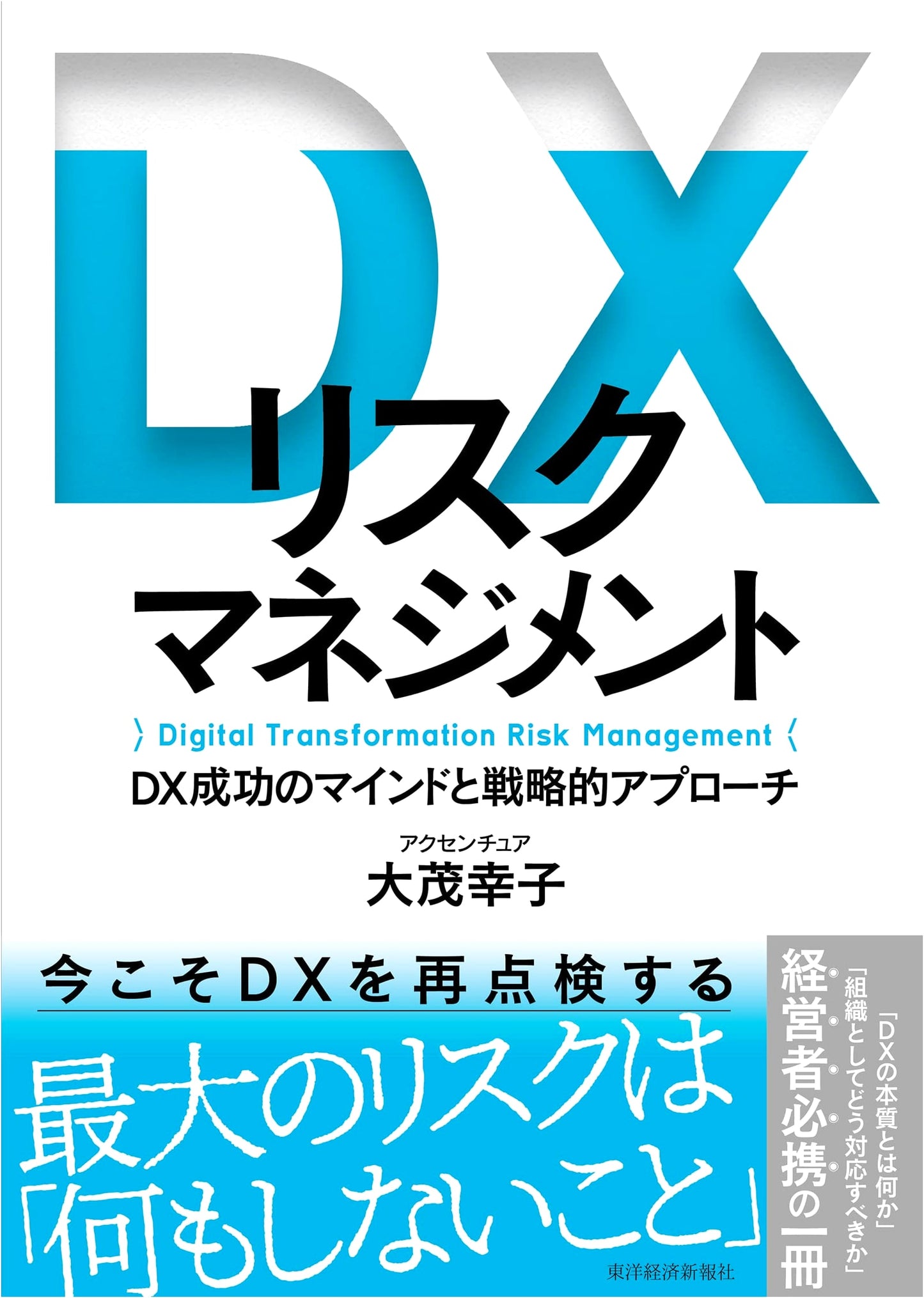 DX Risk Management: Mindset and Strategic Approach for DX Success