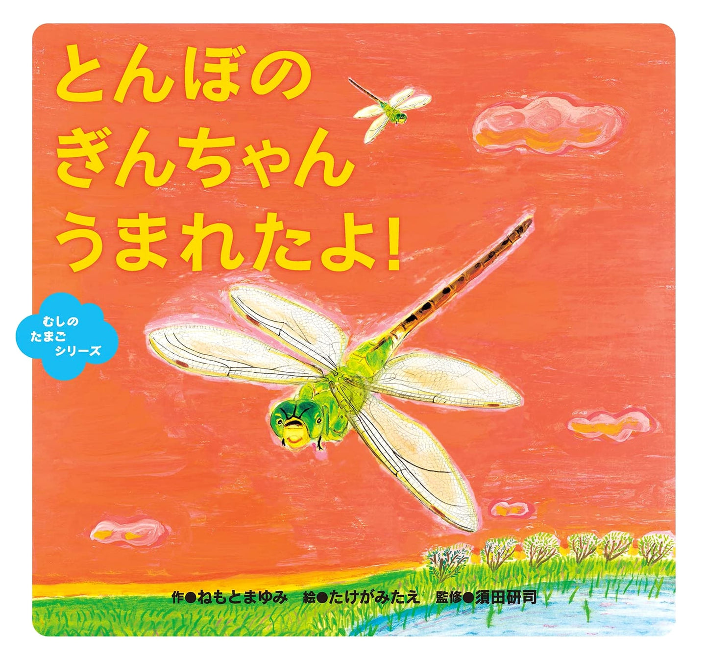 Gin-chan the Dragonfly is Born! (Insect Egg Series)