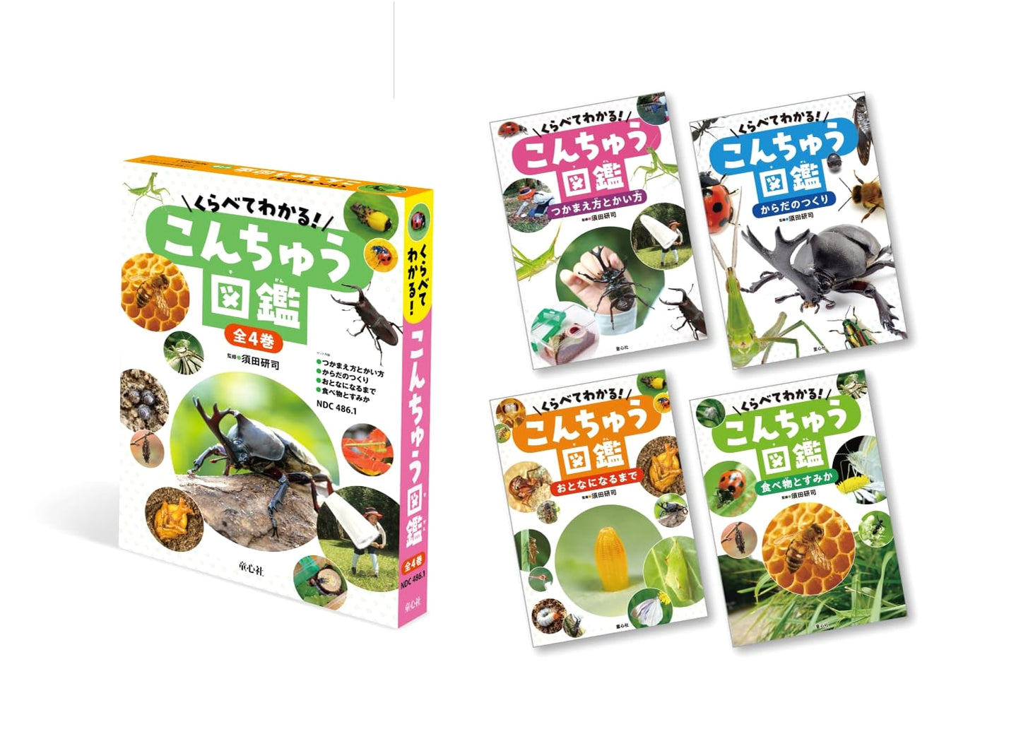 Compare & Discover Insects! A Complete 4-Volume Encyclopedia