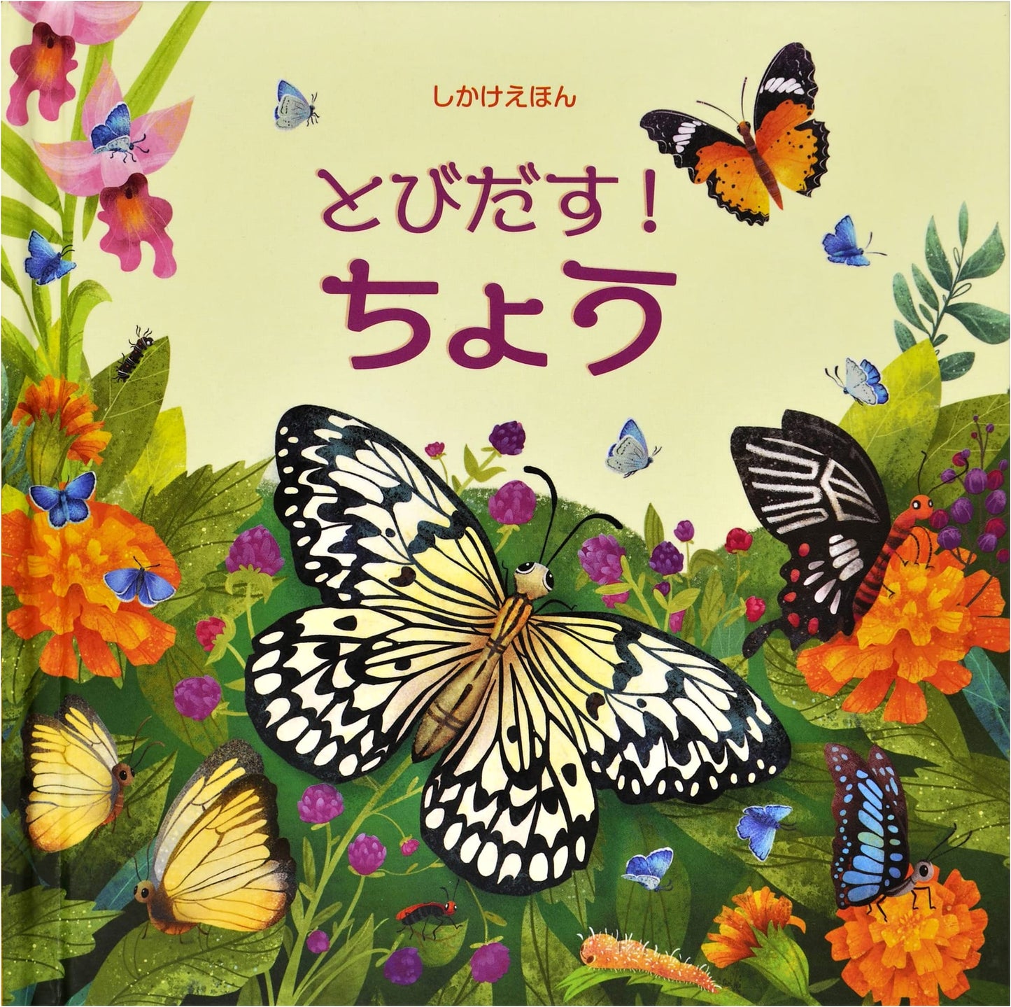 Pop-Up! Butterflies (Pop-Up Picture Book)