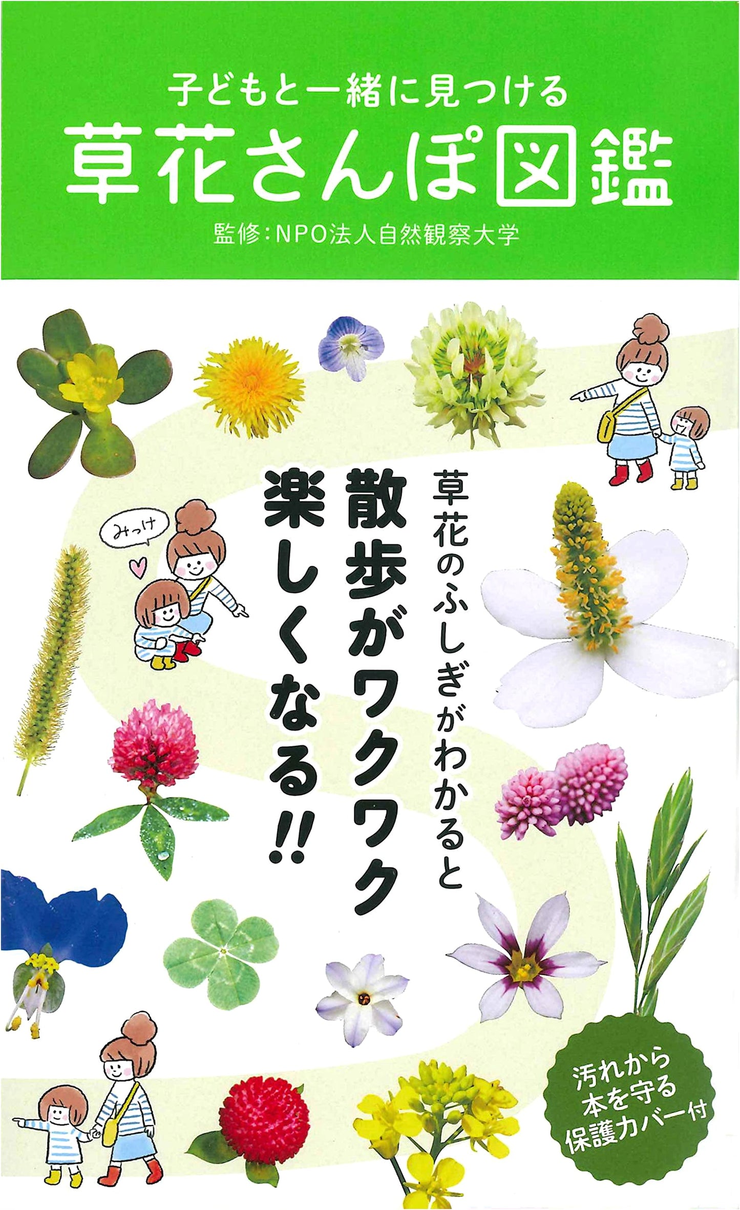 Kids' Nature Walk: Discovering Wildflowers and Plants - An Illustrated Field Guide