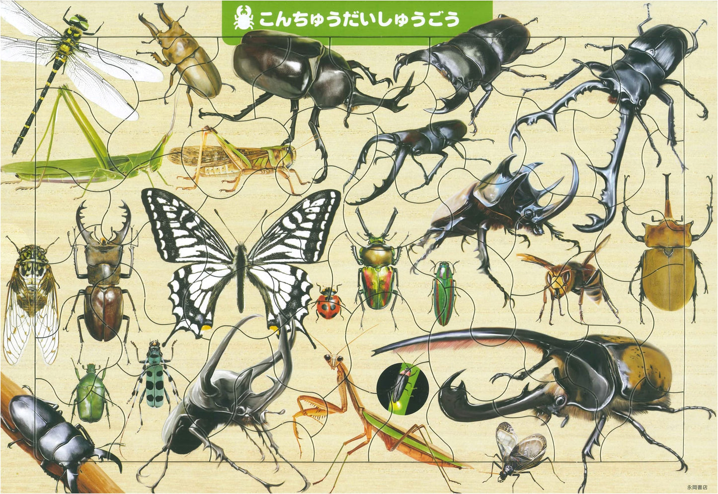 Giant Insect Jigsaw Puzzle: A 50-Piece Educational Puzzle for Smart Kids