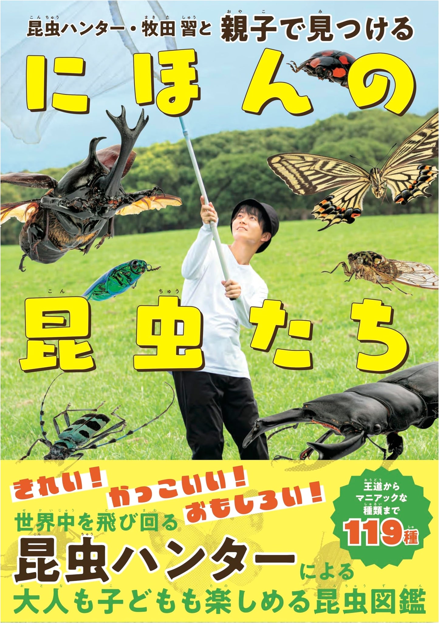 Discovering Japan's Insects: A Family Guide with Insect Hunter Shū Makita