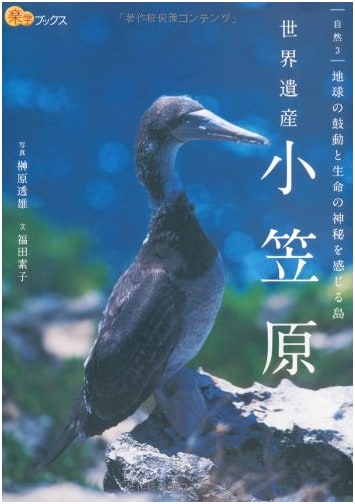 The Ogasawara Islands: A World Heritage Site by Sumio Sakakibara