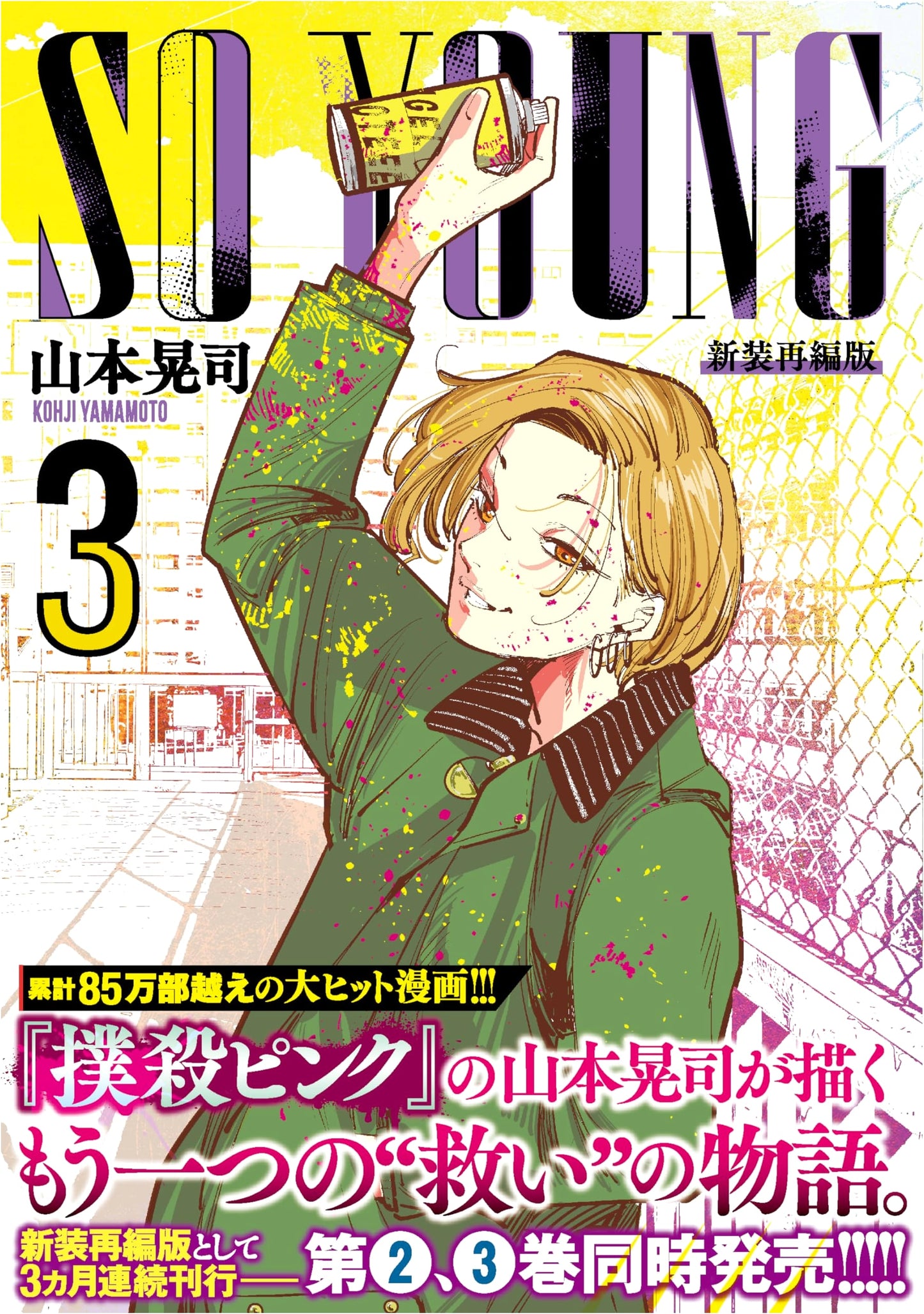 SO YOUNG, Volume 3 (Nichibun Comics)