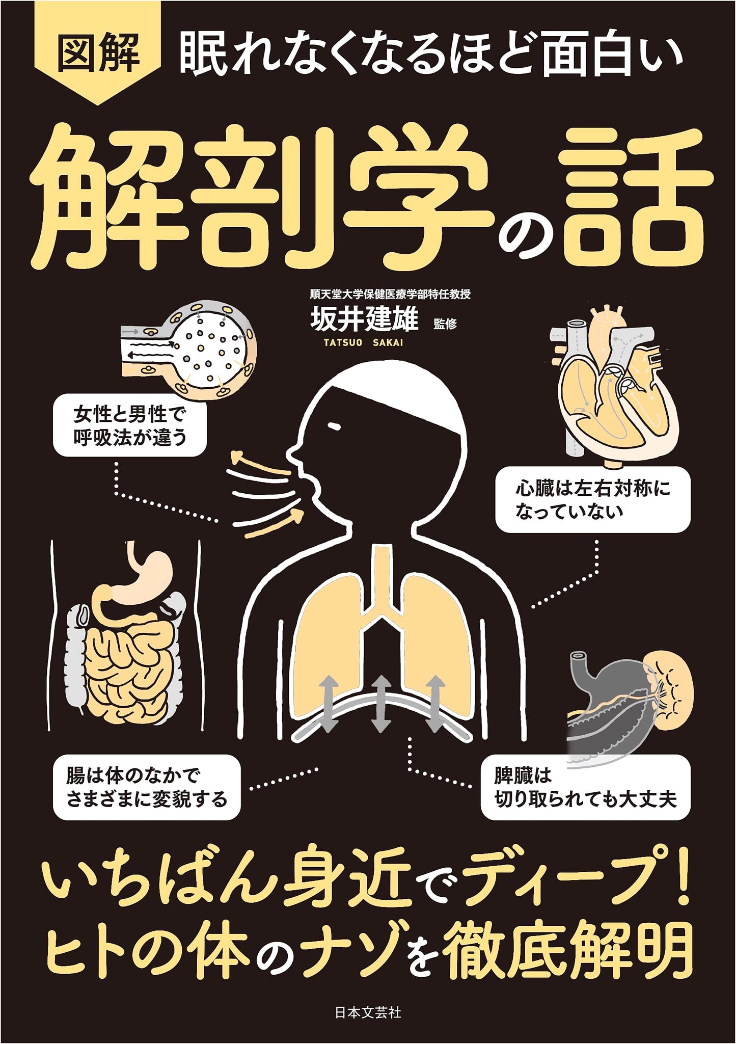 Fascinating Illustrated Guide to Anatomy: Unraveling the Mysteries of the Human Body