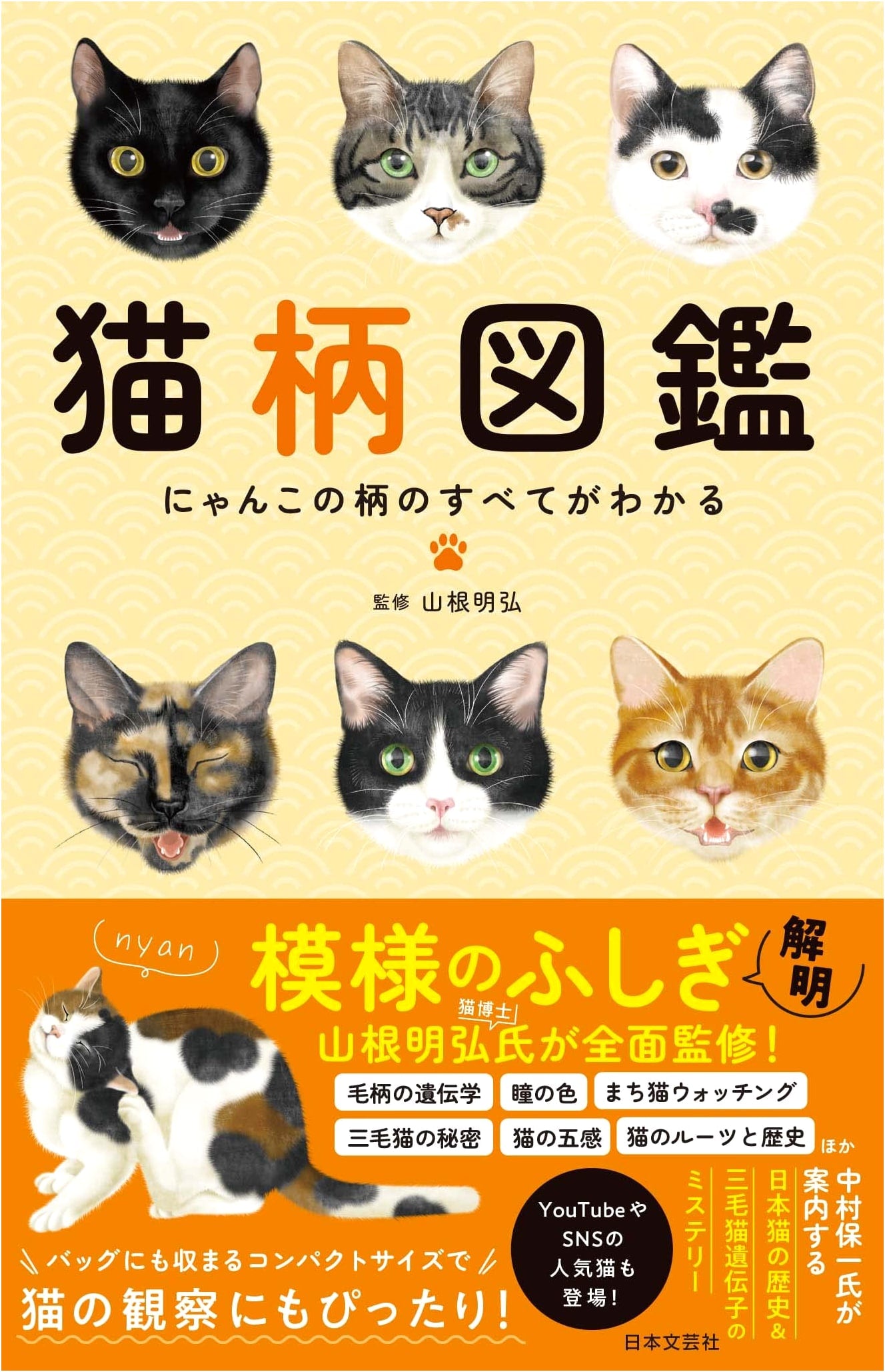 An Illustrated Guide to Cat Patterns
