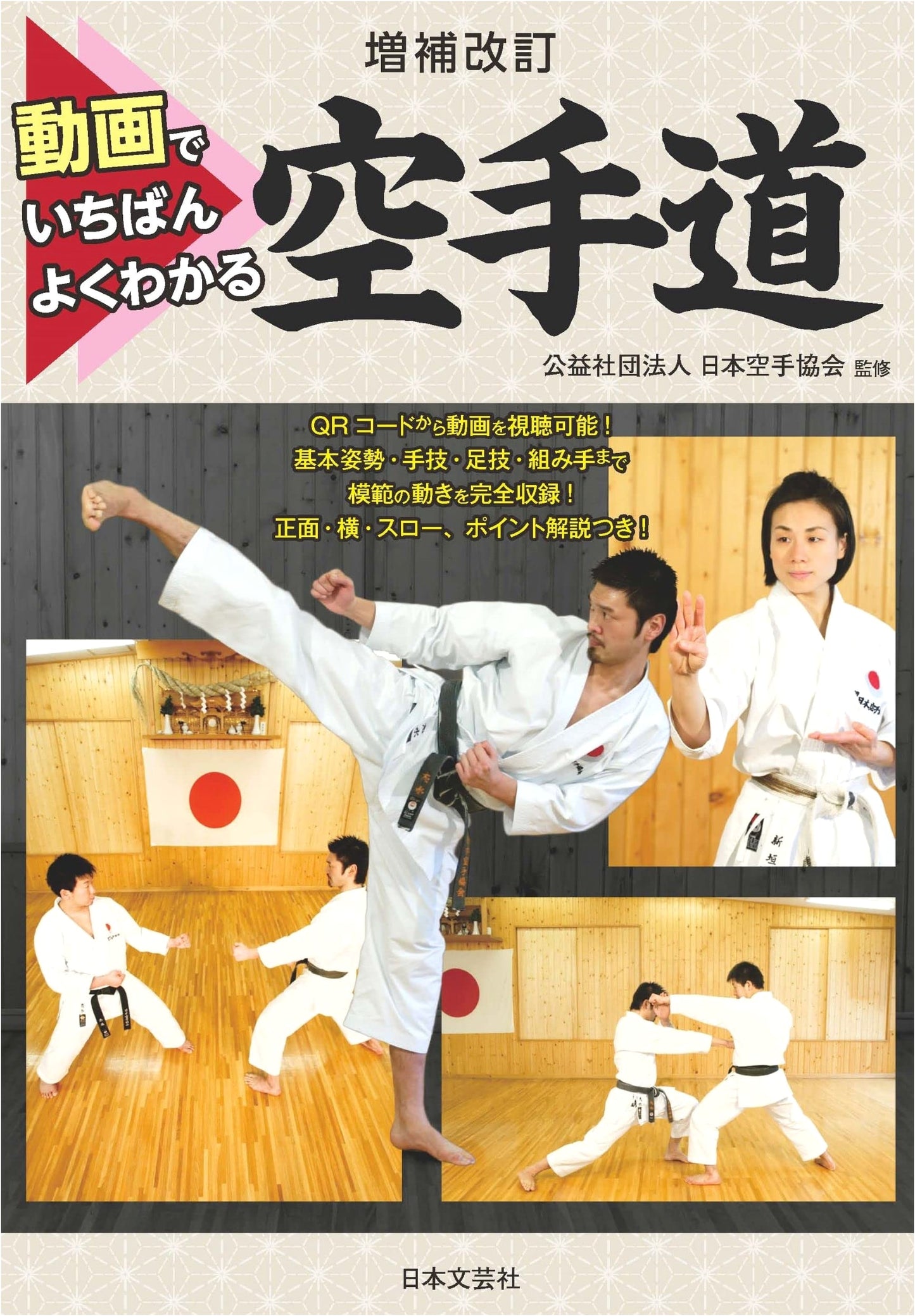 Expanded & Revised: The Easiest Video Guide to Understanding Karate-do