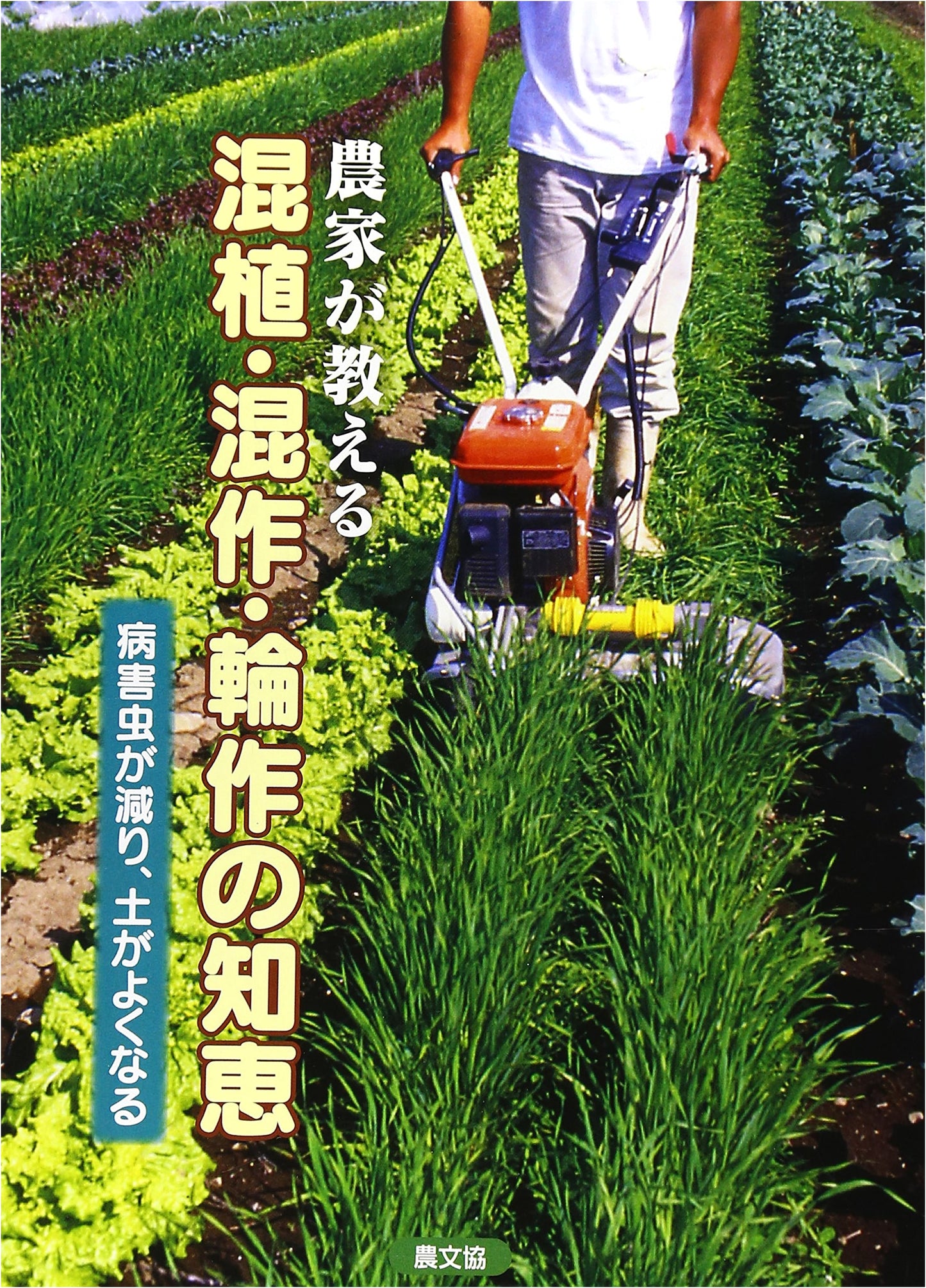 Farmers Share Wisdom on Mixed Planting, Intercropping, and Crop Rotation: Reducing Pests and Improving Soil