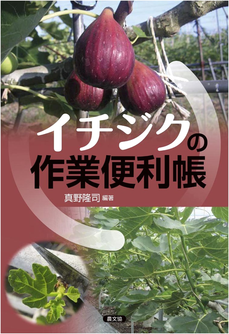 Fig Cultivation Handbook: A Practical Guide for Farmers