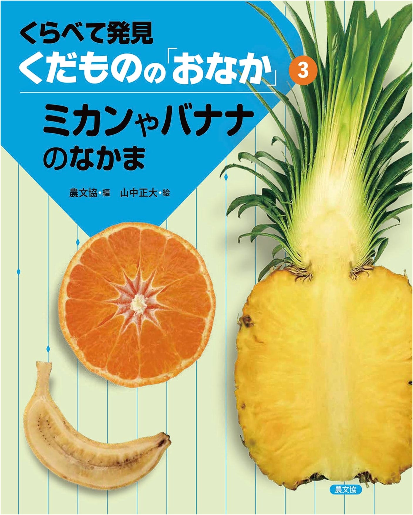 Citrus and Banana Family (3) (Discovering Fruit's 'Belly' Series 3)