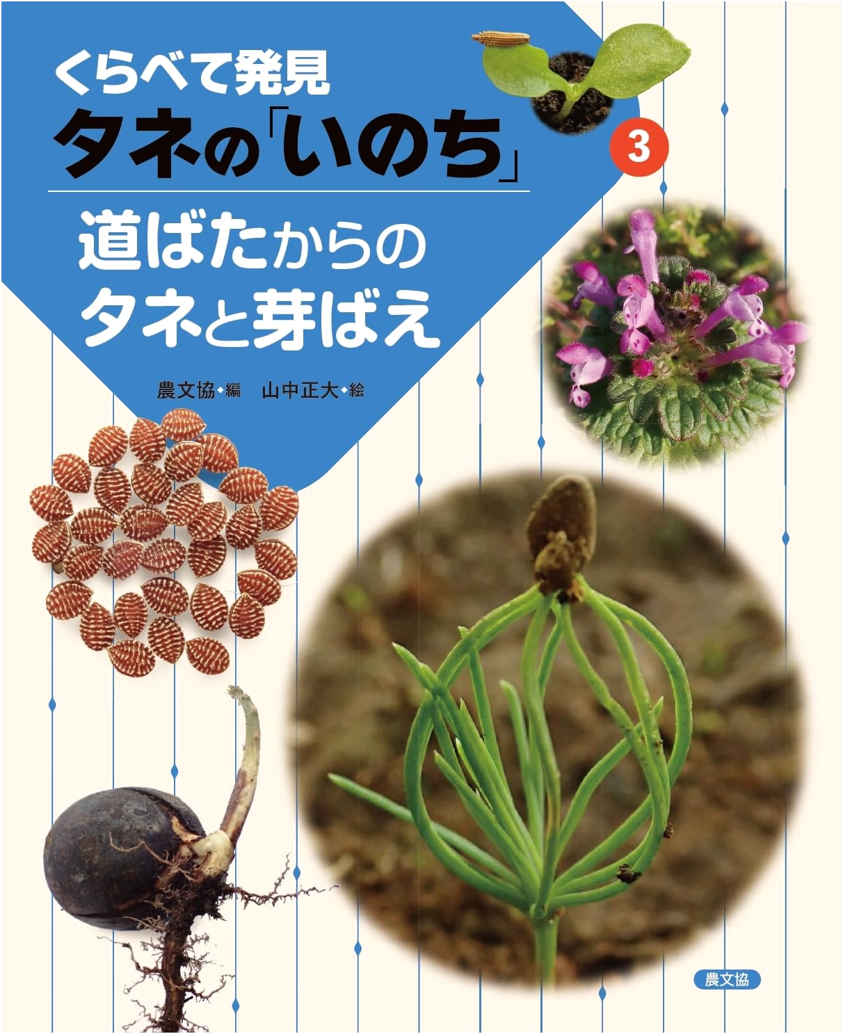 Seeds and Sprouts from the Wayside (Discovering the Life of Seeds Through Comparison, Vol. 3)