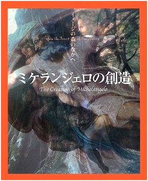 Michelangelo's Creation (Into the Forest of Images)