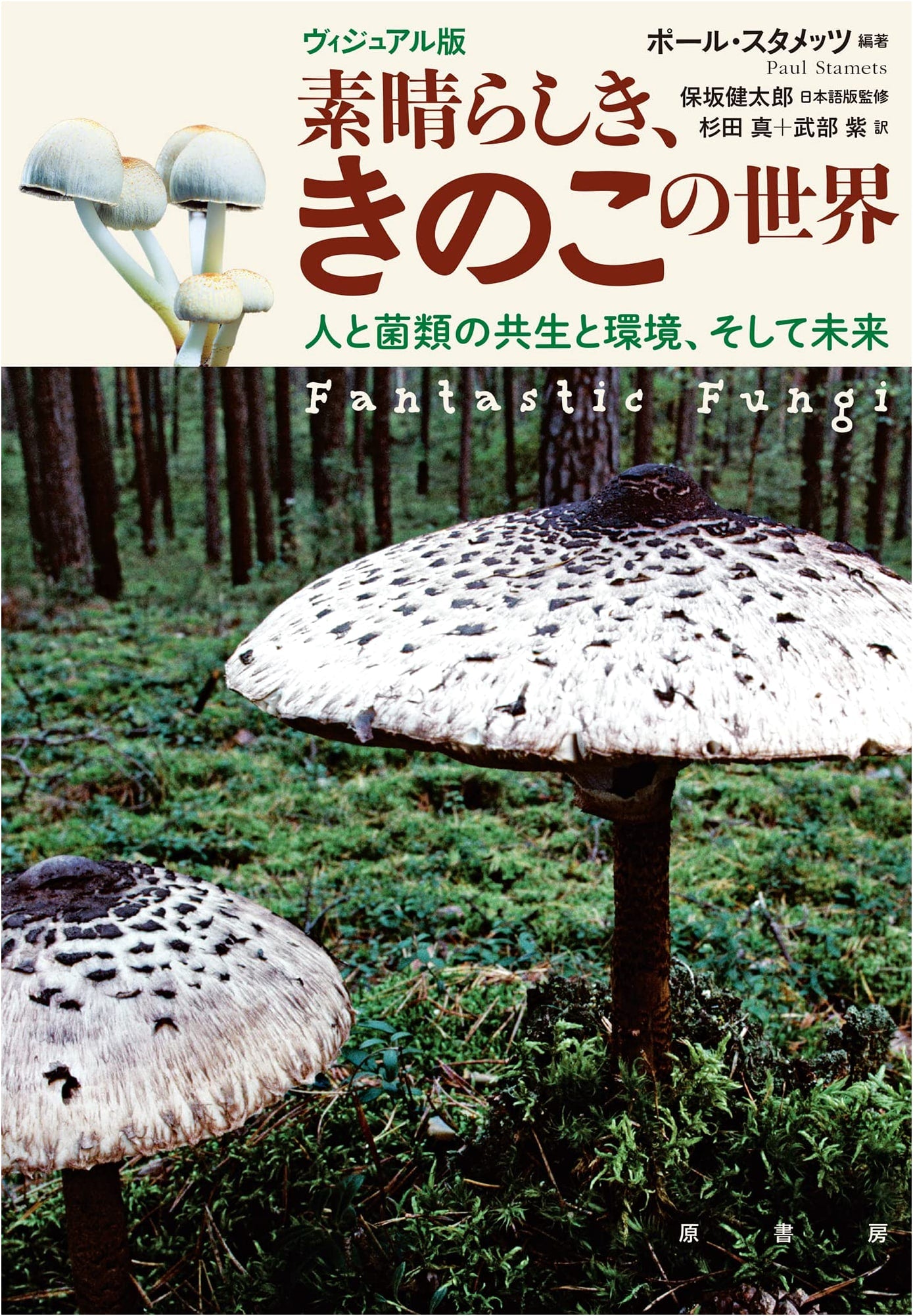 The Wonderful World of Mushrooms: Human-Fungi Coexistence, Environment & Future (Visual Ed.)