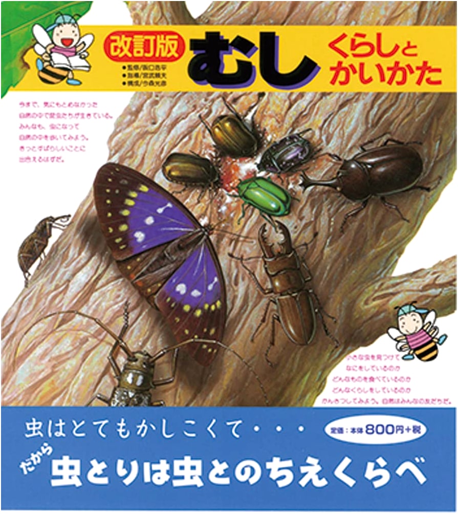 Insects: Their Lives and How to Keep Them