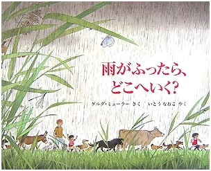 When It Rains, Where Do You Go?